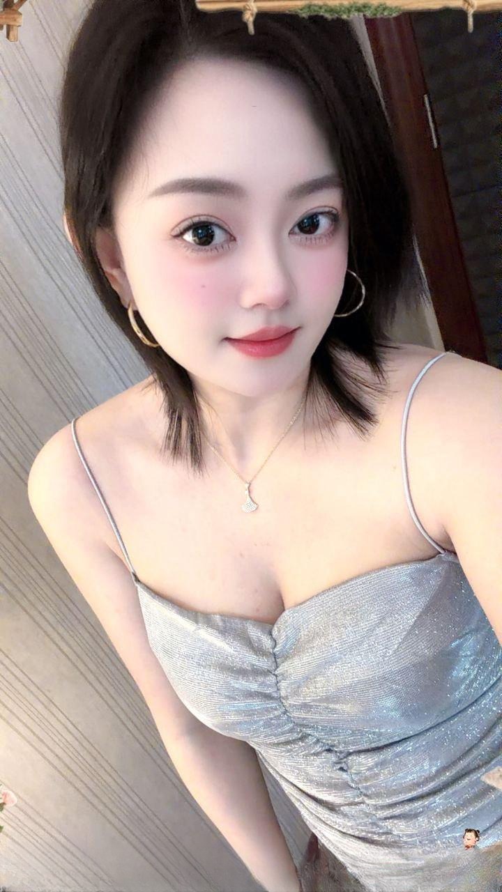 会吸会转的小野猫
