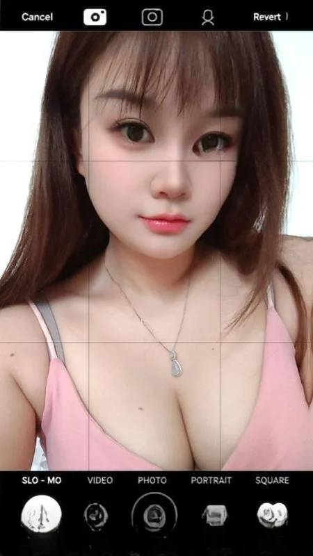 西乡念念 图 3