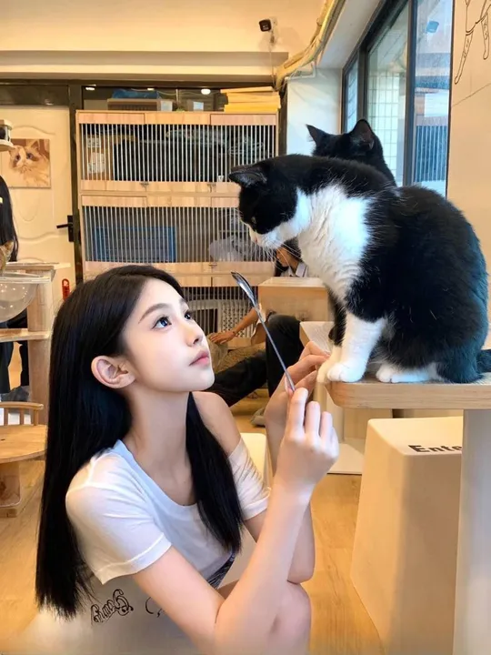 会舔小桃子