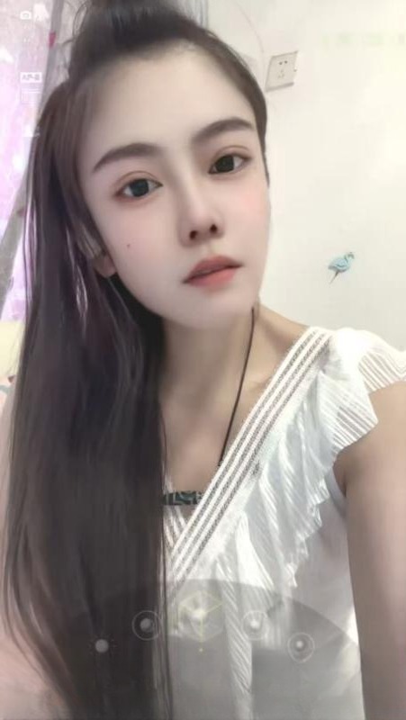 绽放的菊花御姐
