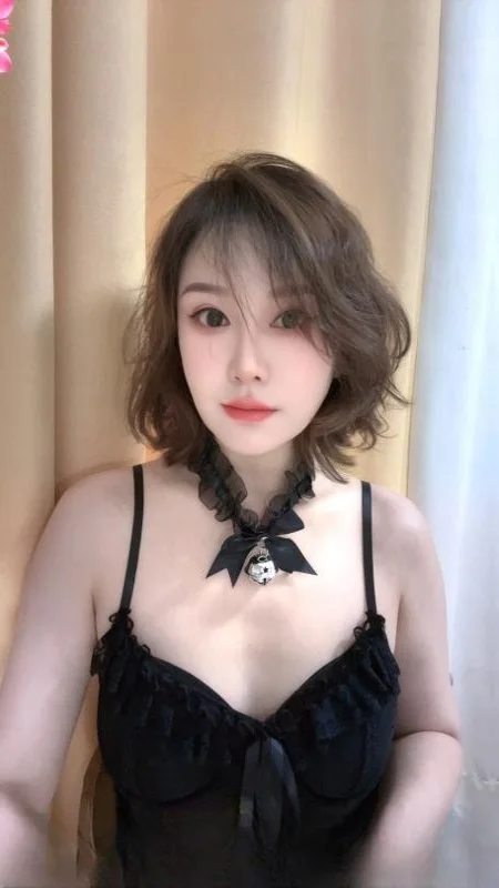 汉阳服务系小野猫 图 2