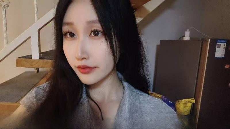 南开安木爽记