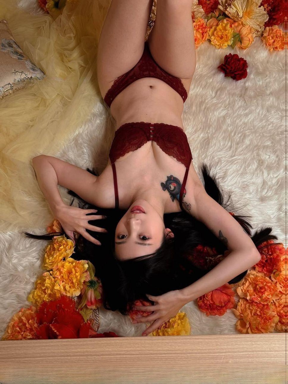 盘正条顺的小蒙 图 2
