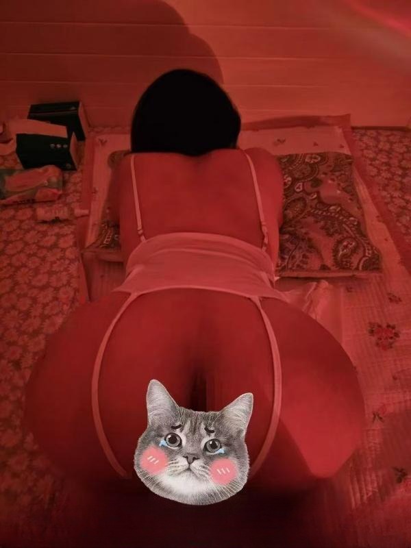 很会勾引的骚妇 图 3