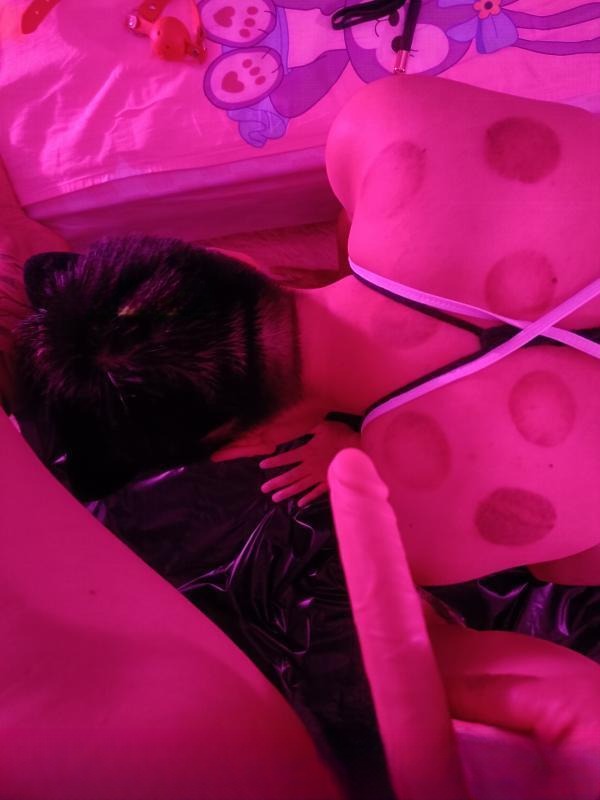 御姐范儿女王大人 图 4