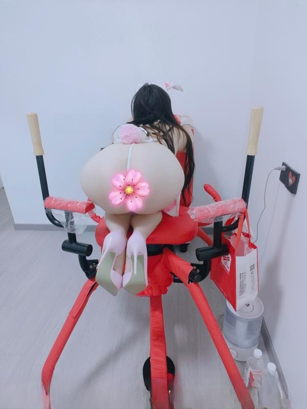 武汉奶兔