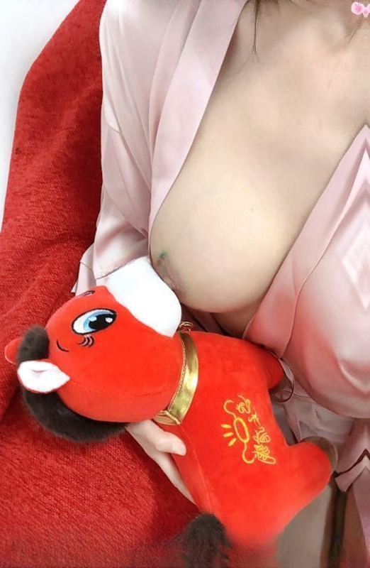 园区小白