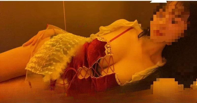 御姐范燕子 图 2