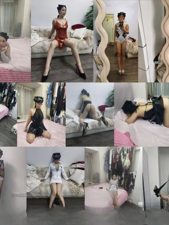 全能猫老师