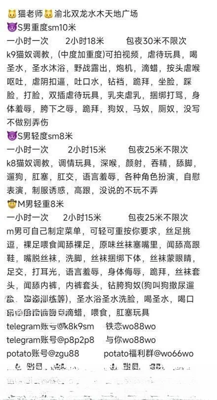 全能猫老师 图 3