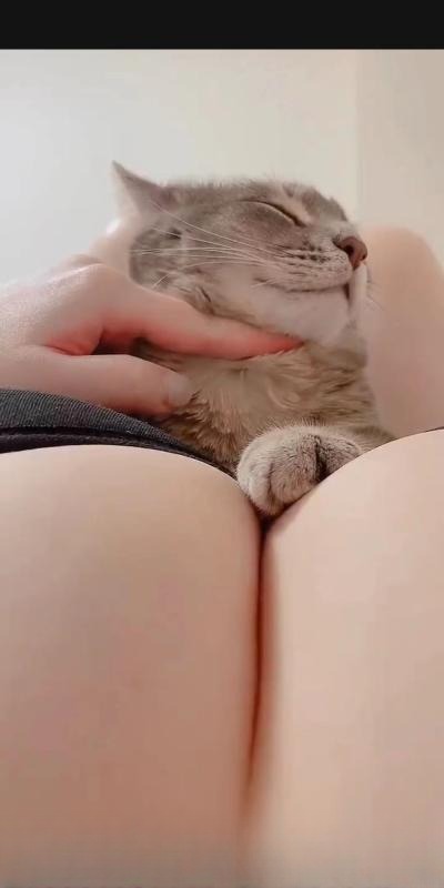 微笑大奶