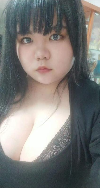 天津津南大奶牛 图 4