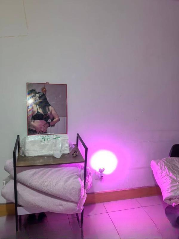 丰满骚货兰姐 图 4