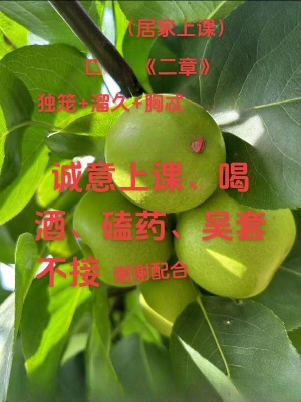 新吴少妇小晓 图 3