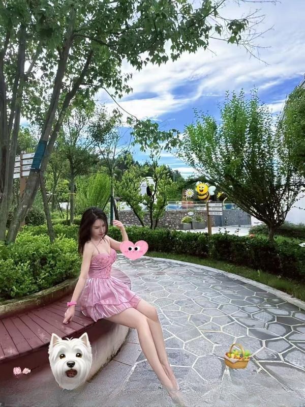 罗湖172猫老师 图 2