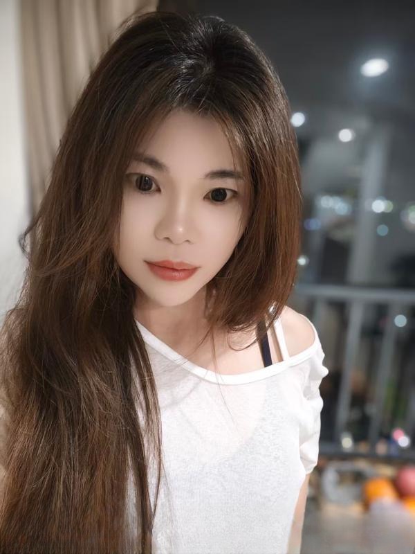 顺德小野猫
