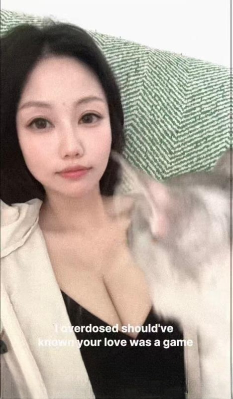 徐汇佛系猫妮