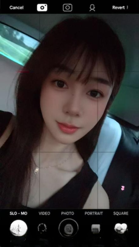 辛子屁股大松江九亭 图 4