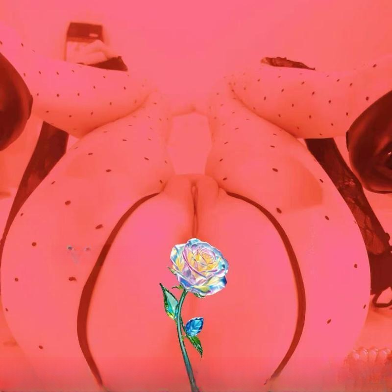 汉口D奶江梓梅 图 3